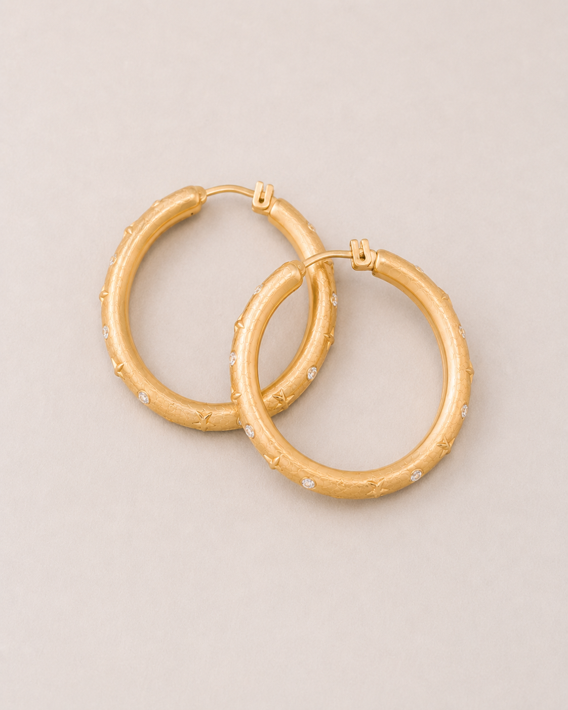 Brocade Embellished Earrings