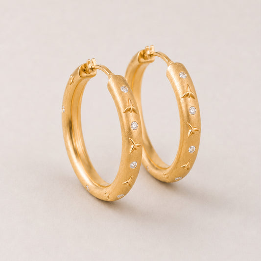 Brocade Embellished Earrings